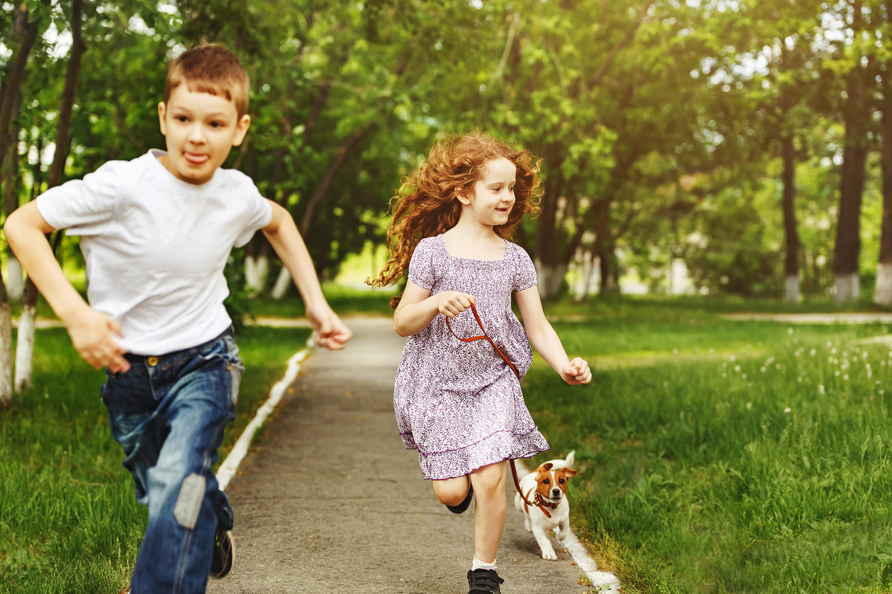 Little boy, girl and his puppy jack russell terrier -job Little boy, girl and his puppy jack russell terrier running in spring park.