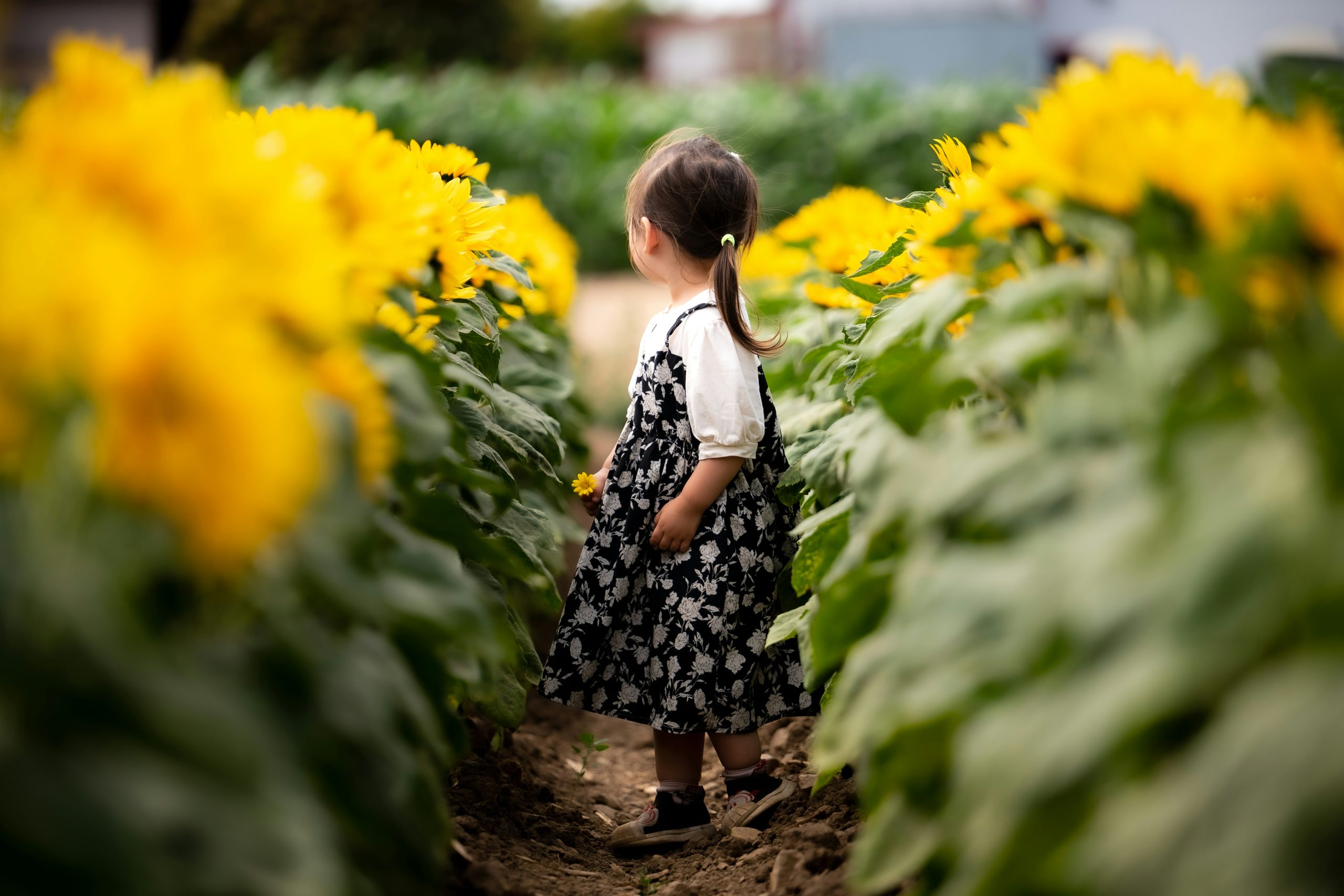Blog: New Nanny